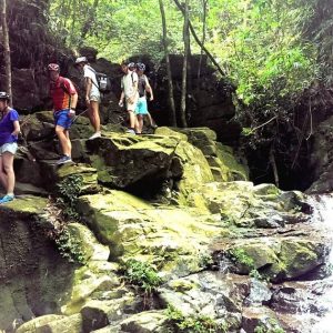 Private car from Hue to Bach Ma National Park